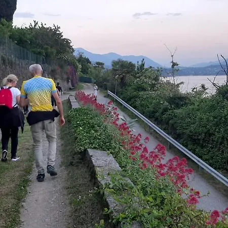 Il Grifo 3* Lesa