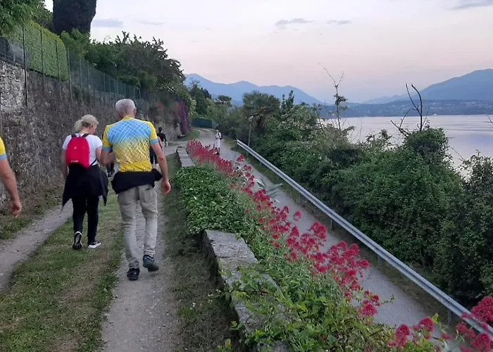Il Grifo 3* Lesa
